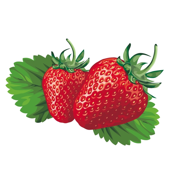 多汁的新鲜草莓03集向量