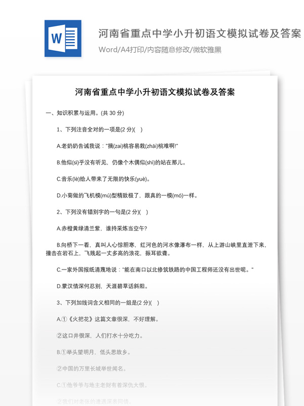 河南省重点中学小升初语文模拟试卷及答案