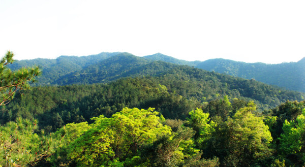 上思十万大山