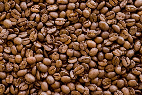 巴西咖啡豆图片