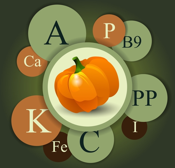 蔬菜维生元素信息图表