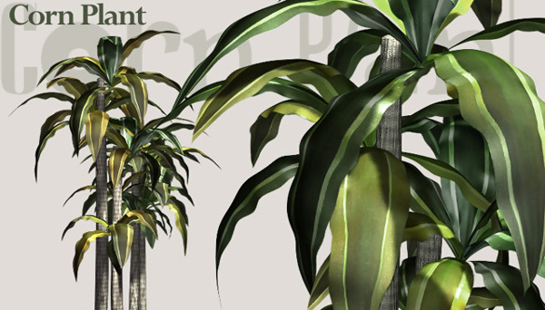 植物3D模型素材20080502更新1