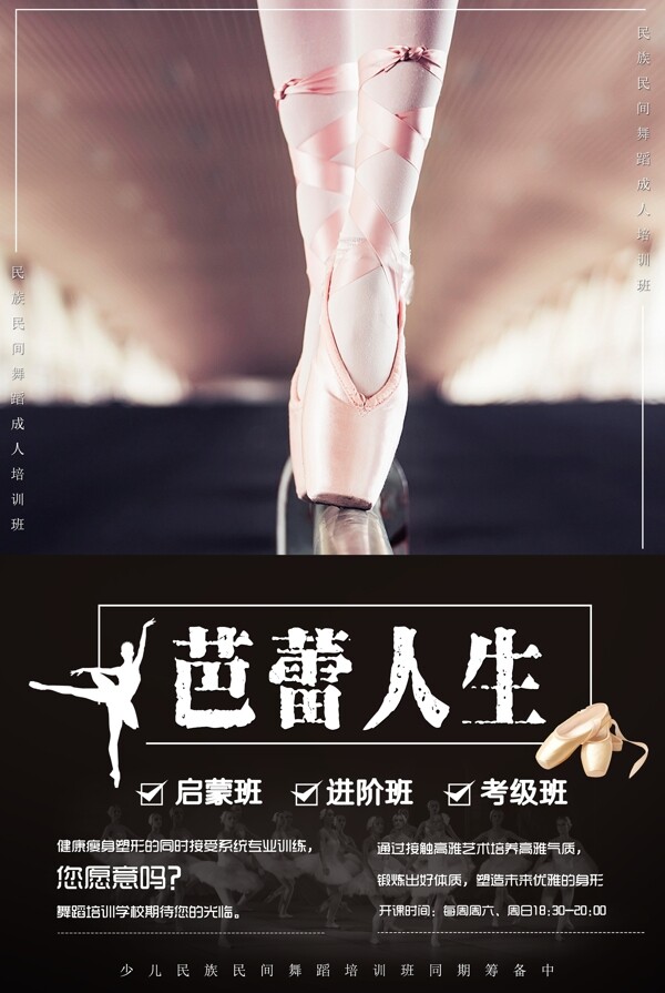 芭蕾人生海报图片