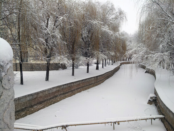 冬天河边的雪景图片