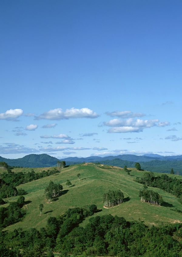 田园风光