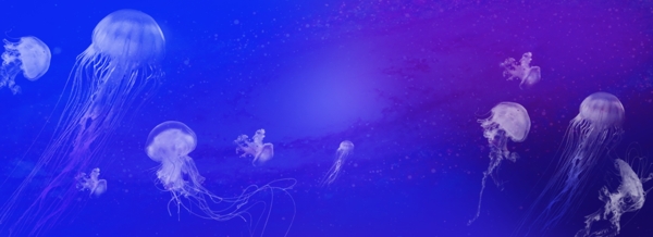 紫色梦幻水母海洋PPT背景
