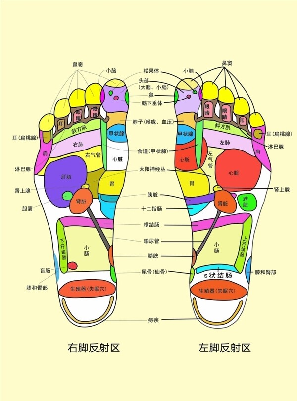 足疗图片