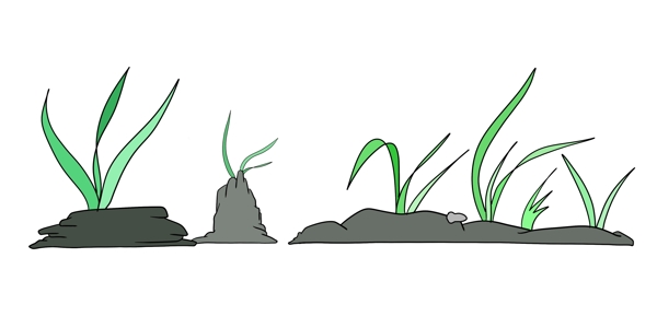 绿色海草分割线插画