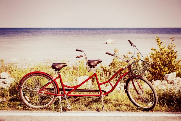 花海单车单车自行车图片