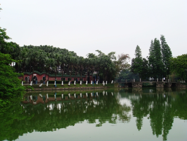 逸仙湖公园4图片