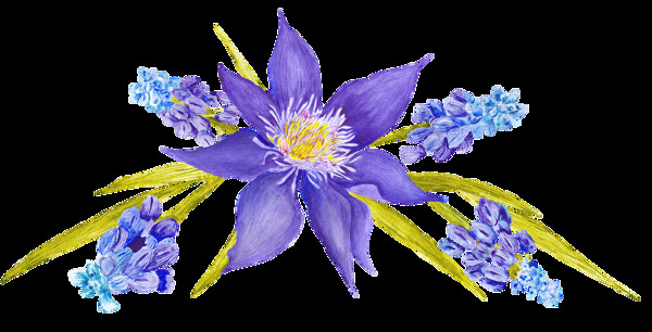 紫色美丽花卉透明装饰素材