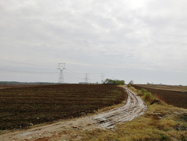 泥巴路小路