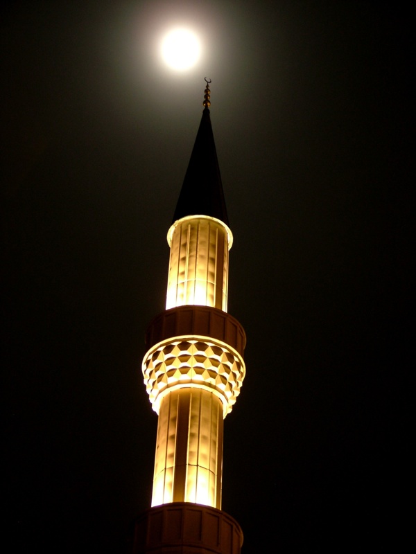 鹿特丹鲁米清真寺图片