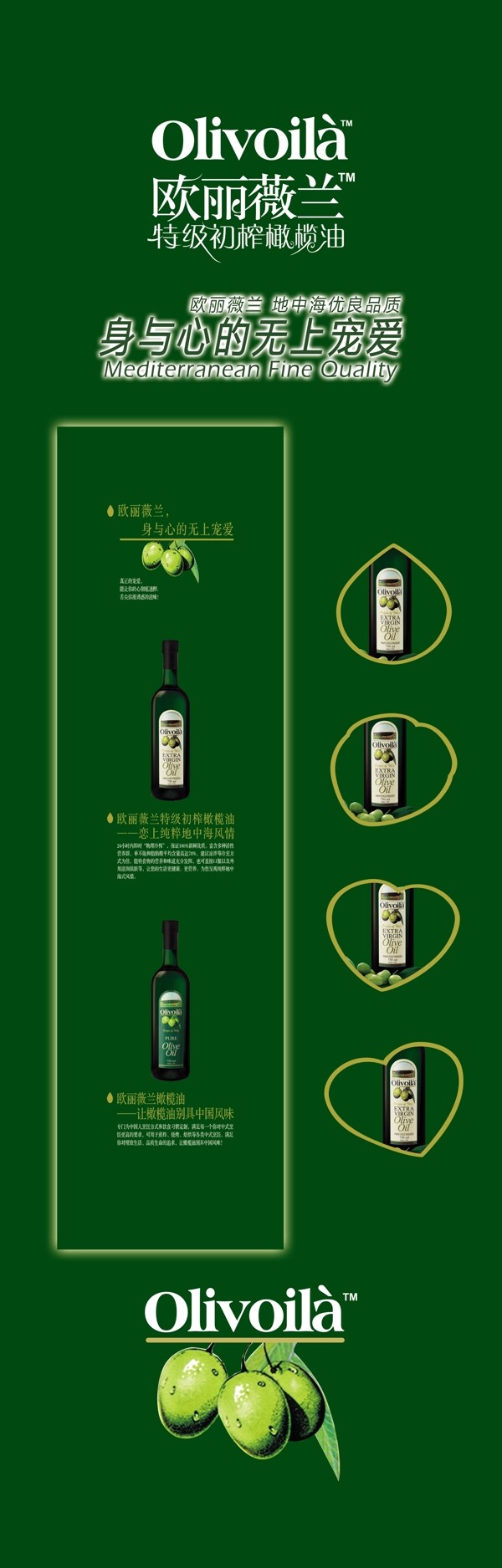 欧丽薇兰橄榄油海报图片