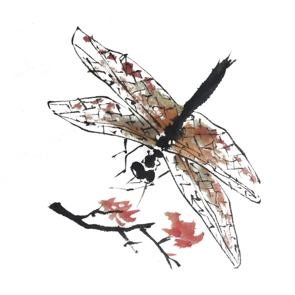 水墨昆虫蜻蜓手绘插画