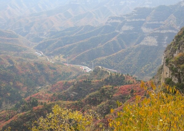 仙台山秋色图片