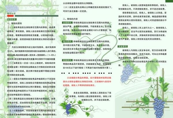 葡萄彩页图片