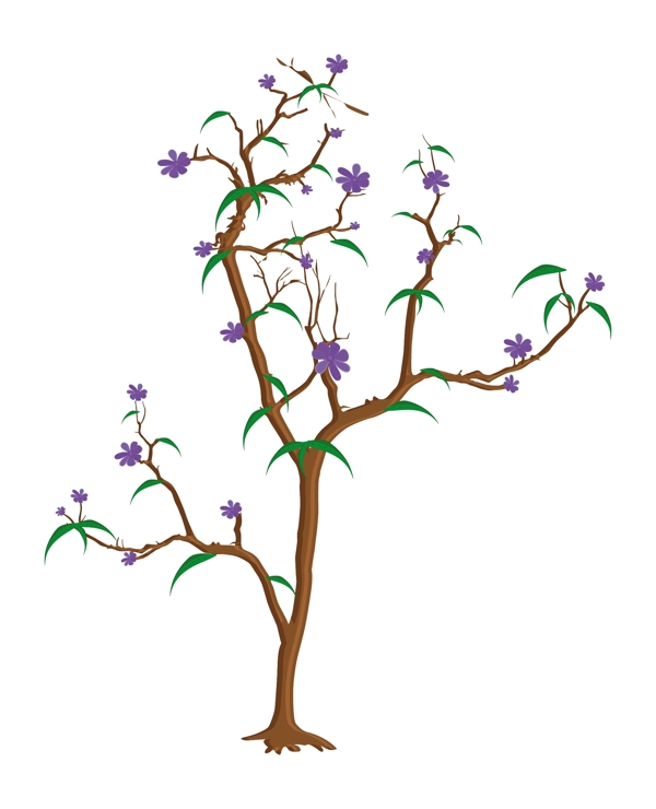 鲜紫色花朵的树枝