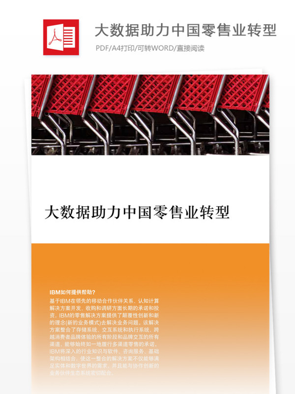 经典大数据助力中国零售业电商分析报告范文