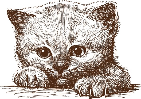 可爱手绘小猫矢量素材