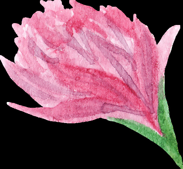 娇嫩花卉卡通水彩透明素材
