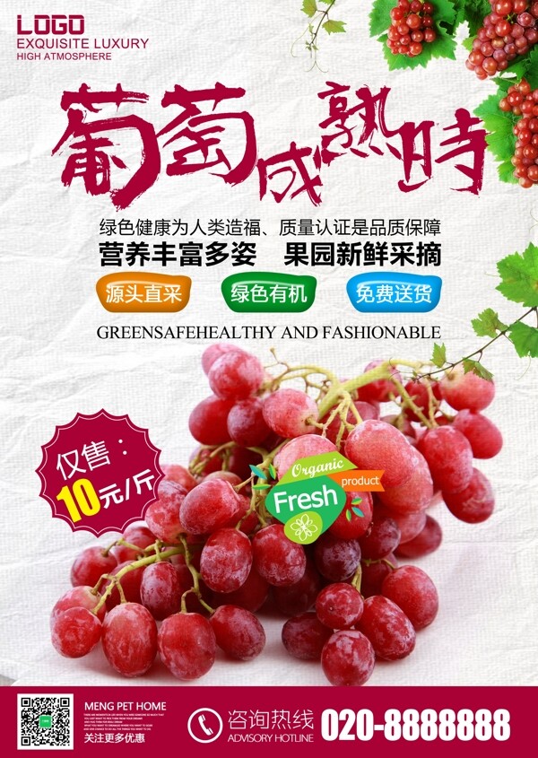 秋季水果果实新疆葡萄青果店促销海报