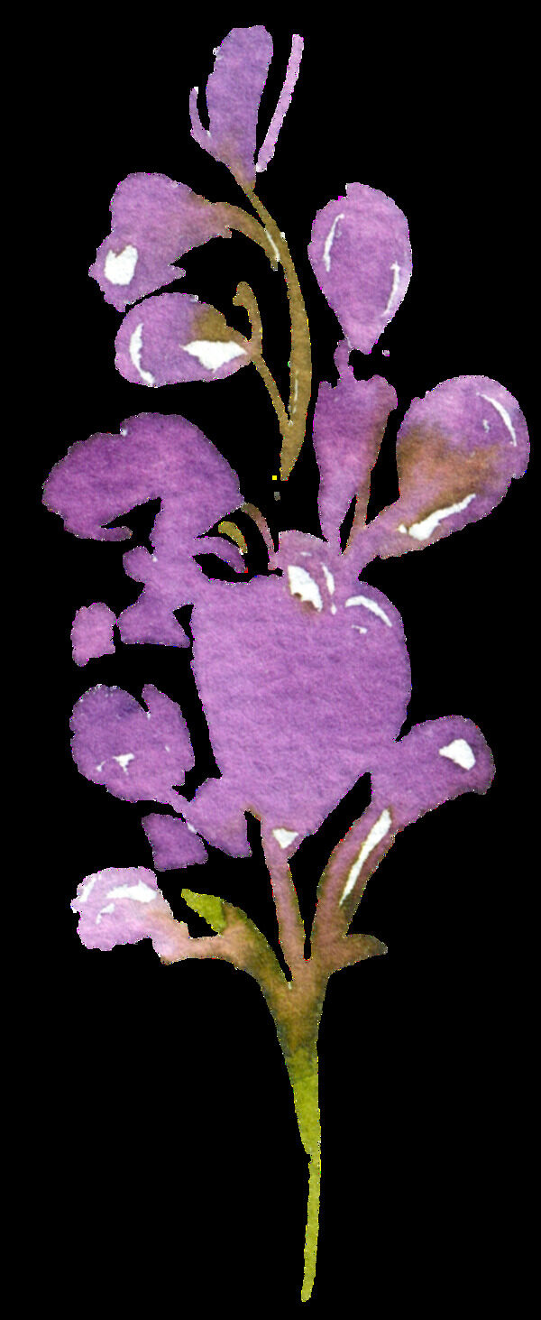 手绘紫色水彩花PNG透明素材