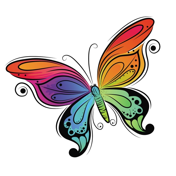 明亮色彩蝴蝶插图矢量图形