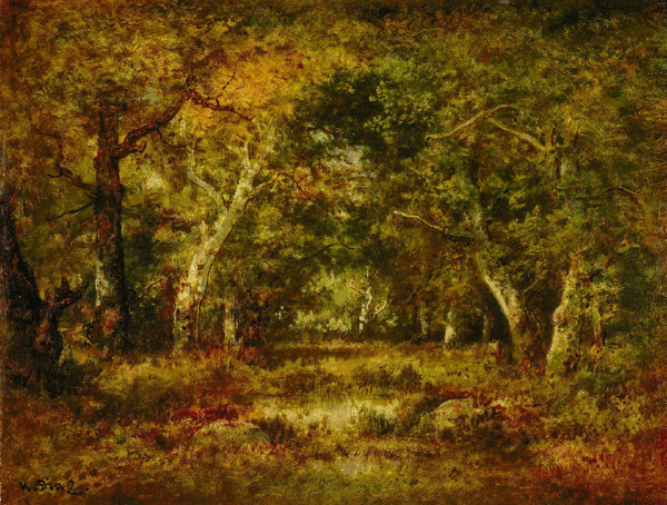 秋季树林风景画图片