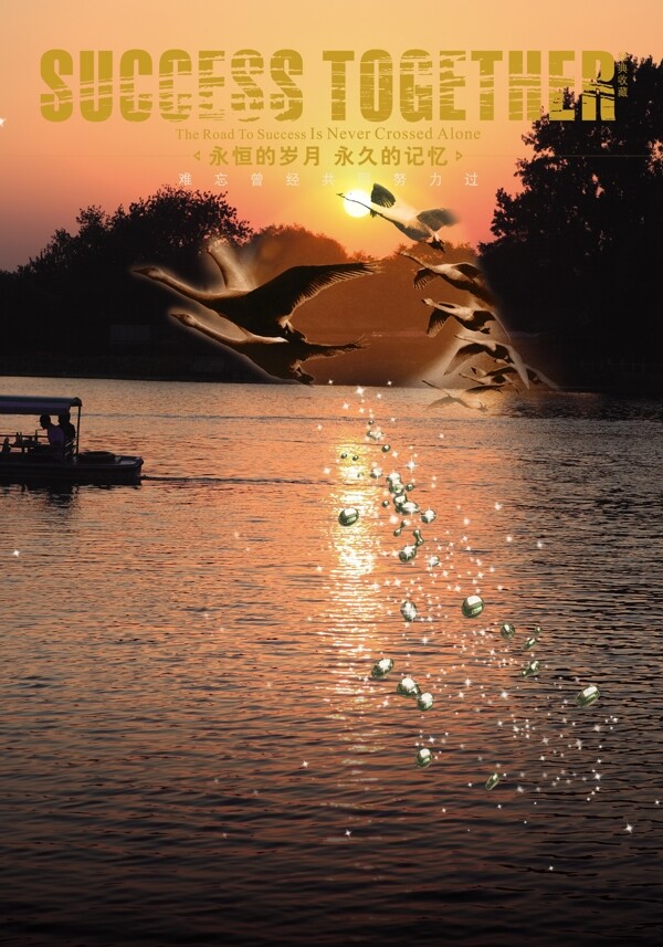 黄昏夕阳海鸥海报