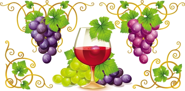 葡萄与葡萄酒矢量