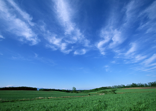 风景自然陆地旷野