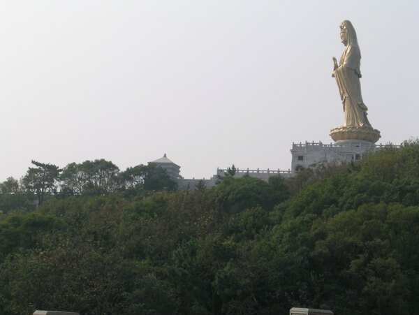 普陀山大佛图片