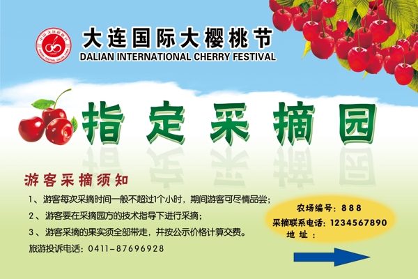 大连国际樱桃节横版图片