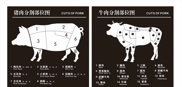 鲜肉部位图