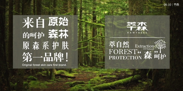 森林主题画册植物护肤绿色自然森林呵护