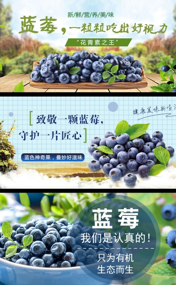 蓝莓banner图