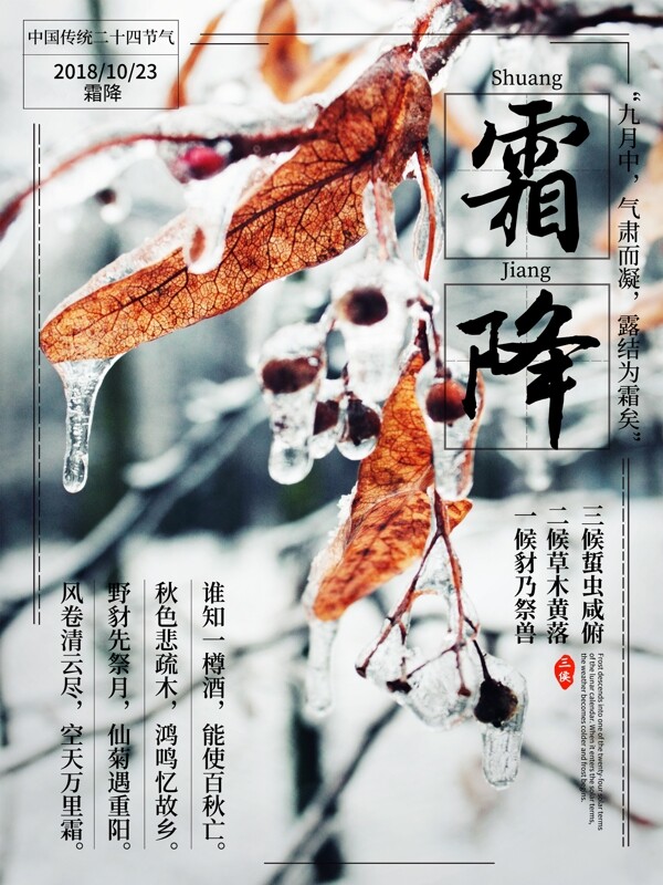 简约文艺中国二十四节气霜降节气海报