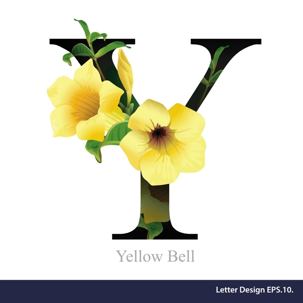 黄色花卉英文字母字体设计