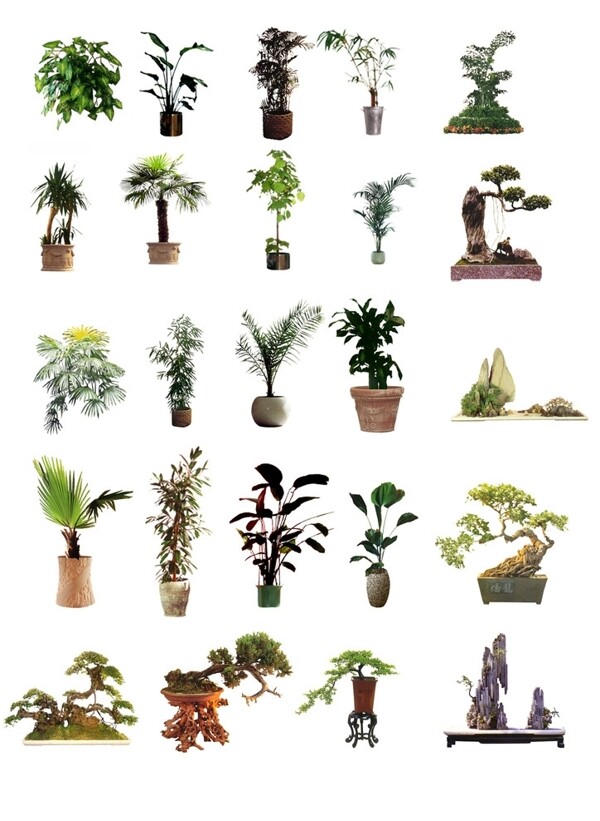 植物后期素材图片
