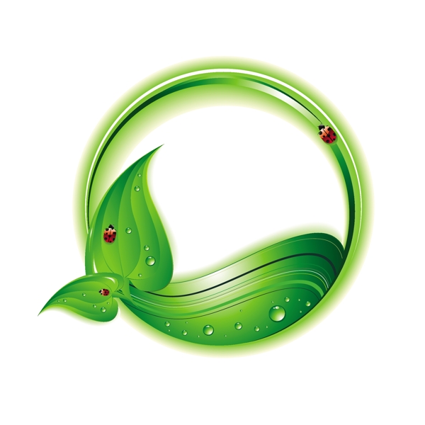 绿叶水珠水滴瓢虫环保背景图片