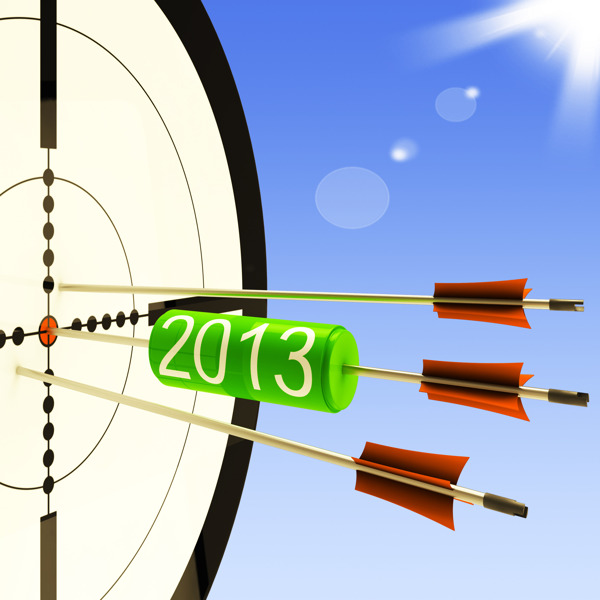 2013个目标显示业务计划的预测