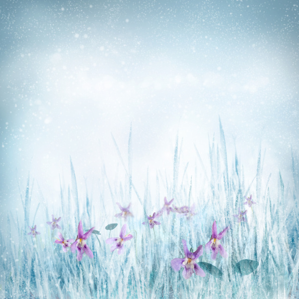 梦幻冬天的鲜花背景