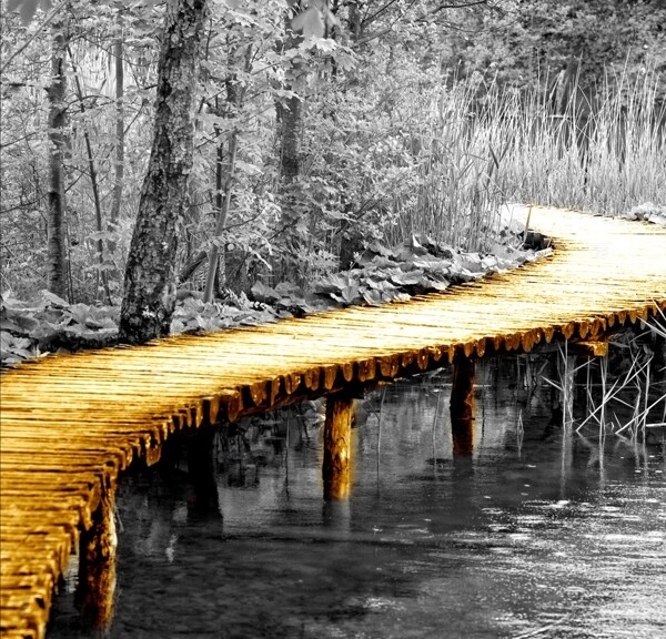 北欧黄金桥装饰画