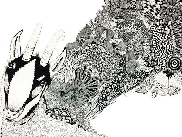黑白线描插画动物植物手绘