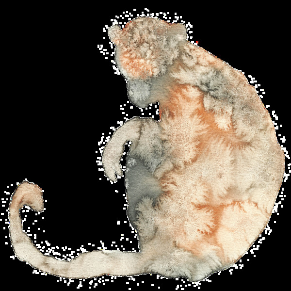 印象画雪花纹动物透明装饰图案
