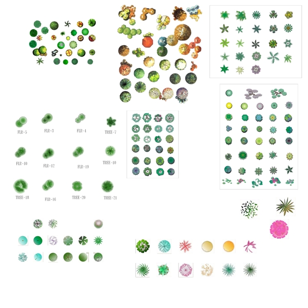 园林植物平面素材彩图