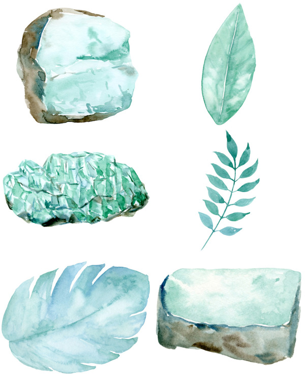 蓝色的叶子和石头