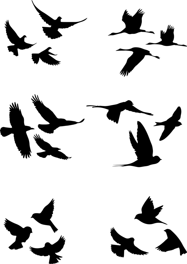 飞鸟元素图片