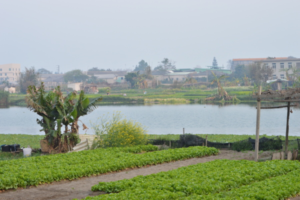 田园风光图片